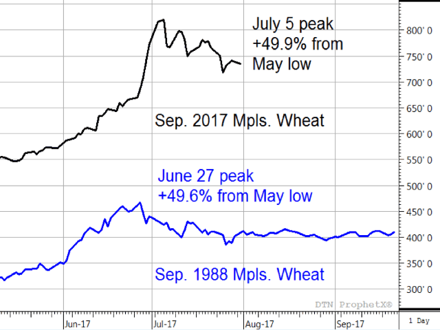 This chart compares September Minneapolis wheat prices in 1988 and 2017 -- two years when drought was a serious problem in the northwestern Plains. In 1988, prices peaked long before drought conditions got better and the same appears to be happening in 2017. (Source: DTN ProphetX)